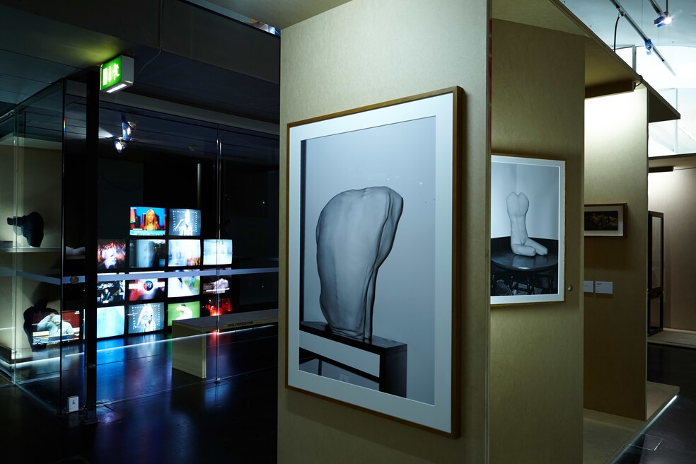 Asger Carlsen: Hester