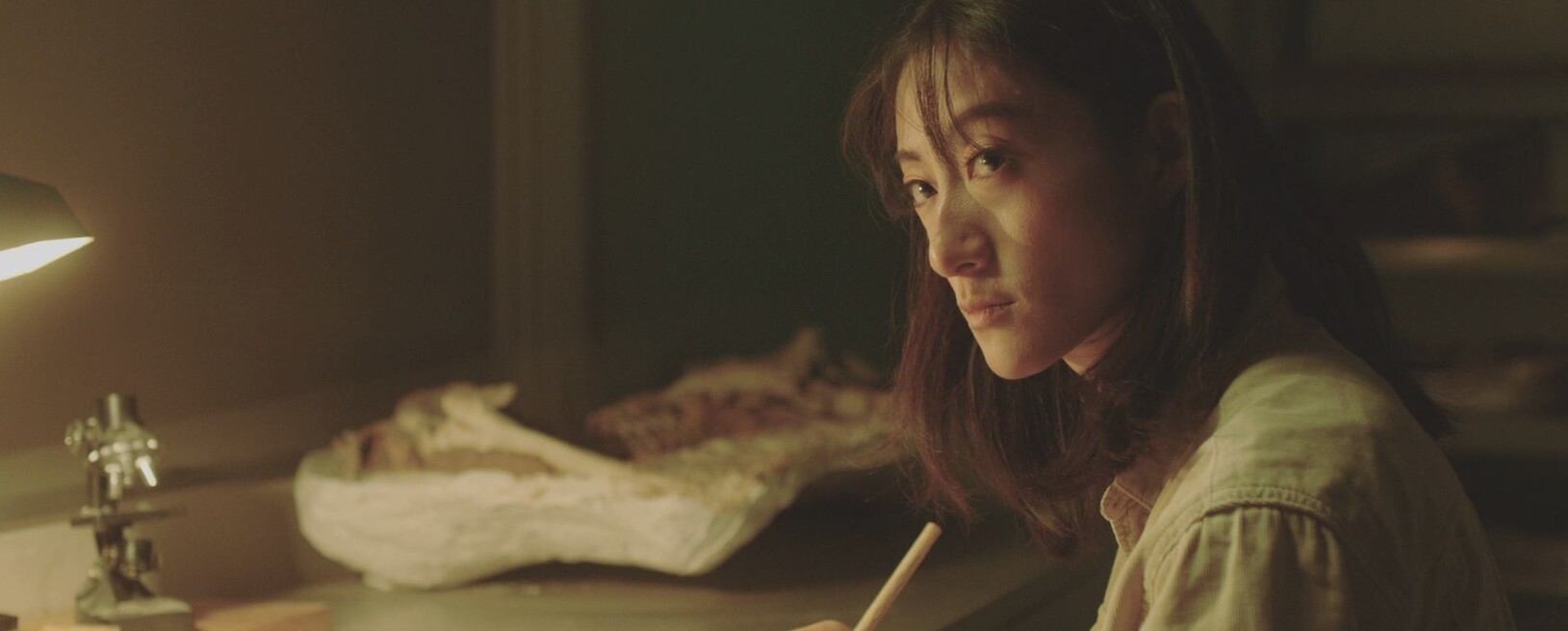 Still aus "Paleonaut"