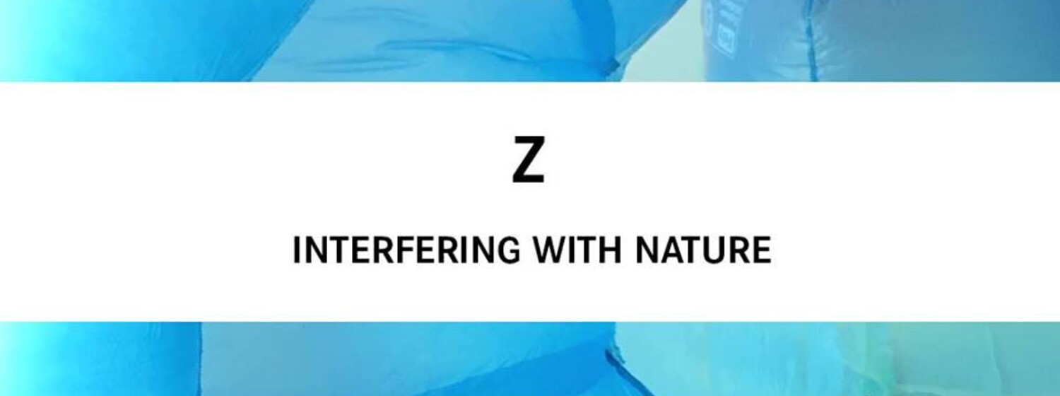 Z (IRN): Interfering with Nature