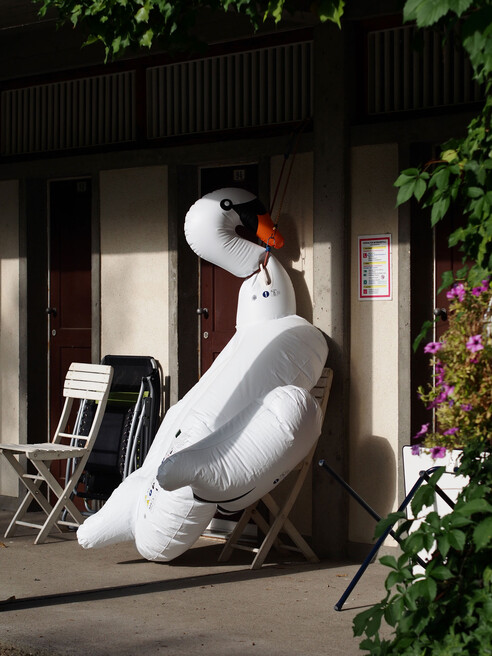 Gänsehäufel, Sommer 2020