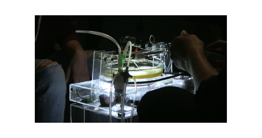 Klaus Spiess, Lucie Strecker: Entangled Speech