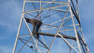 still from "Notre Flamme Des Landes: The Illegal Lighthouse Against an Airport and Its World"