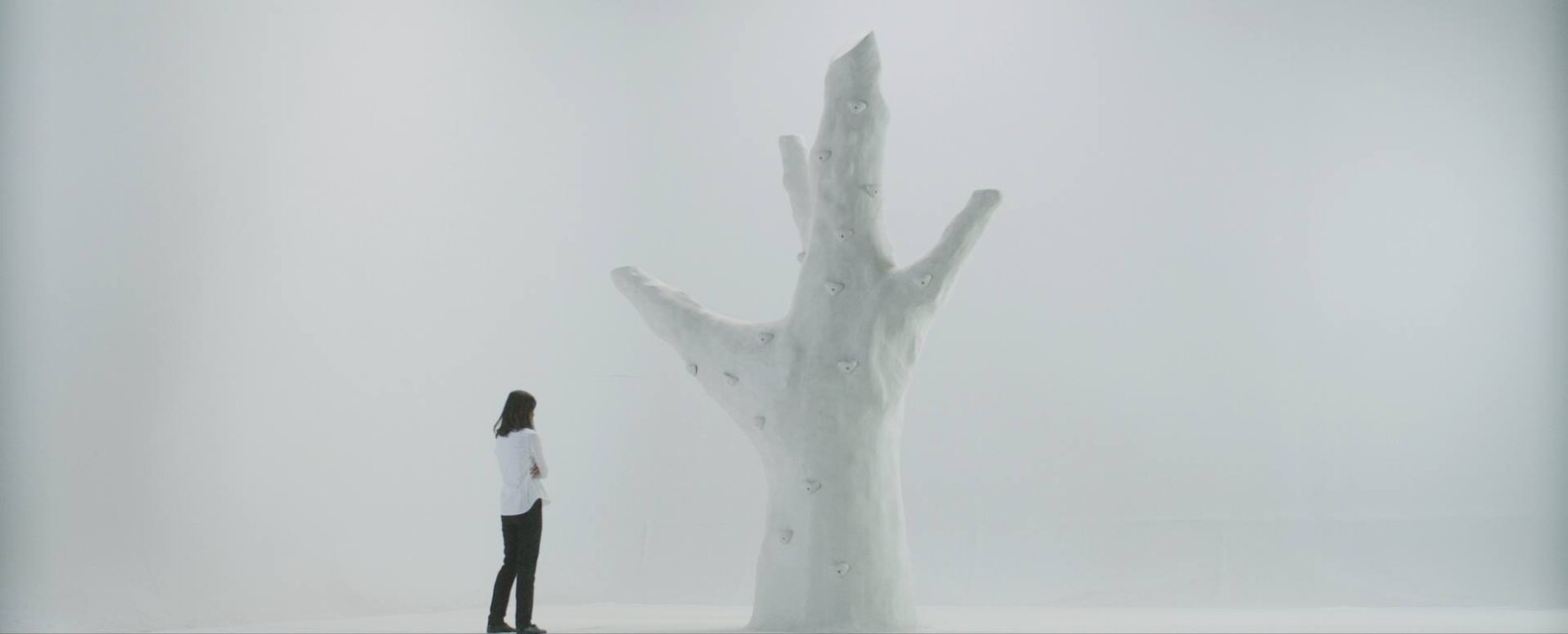 Still aus "Paleonaut"