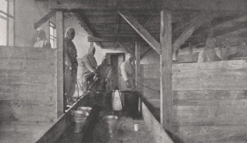 Flüchtlingslager Wagna bei Leibnitz. © Foto: F. Haimel, Graz 1915 (unbekannter Fotograf) Quelle: Lager Wagna 1915 Flüchtlingslager Wagna bei Leibnitz. © Foto: F. Haimel, Graz 1915 (unbekannter Fotograf) Quelle: Lager Wagna 1915