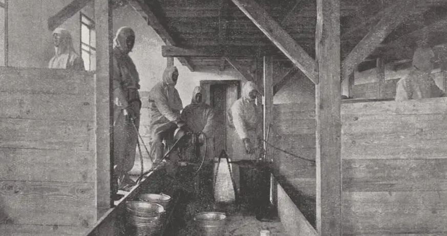 Flüchtlingslager Wagna bei Leibnitz. © Foto: F. Haimel, Graz 1915 (unbekannter Fotograf) Quelle: Lager Wagna 1915 Vortrag & Respondenz: Gratwanderungen der Modern