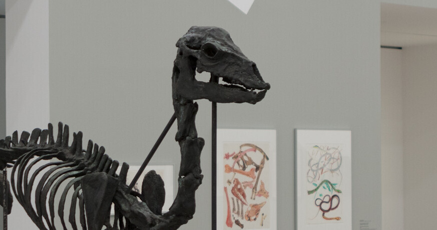 @ Stephan Wyckoff Guided tour: The Animal Within