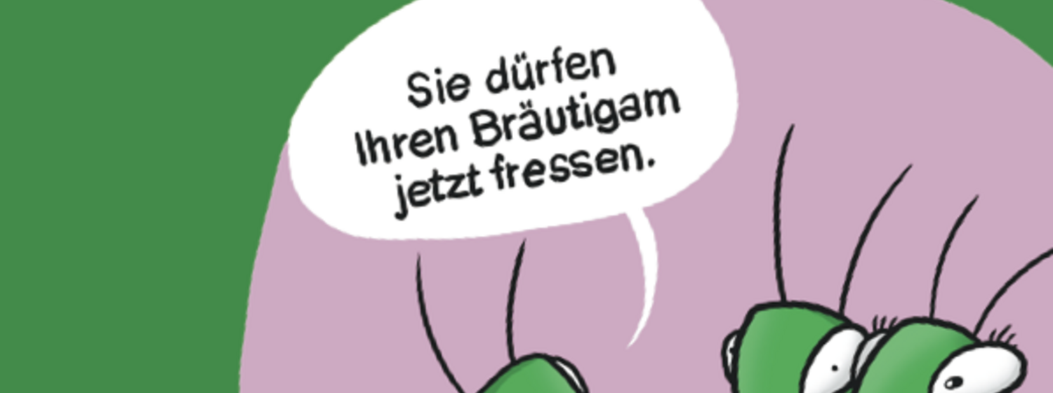 Cartoons zur Hochzeit