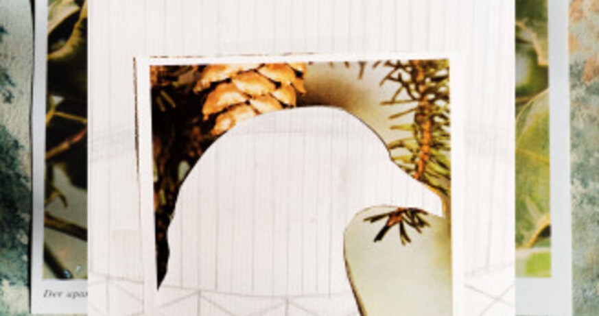 © Susanna Hofer Collect, Cut, Assemble - Workshops für Erwachsene mit den Künstler:innen Sophie Dvořák, Elodie Grethen und Susanna Hofer