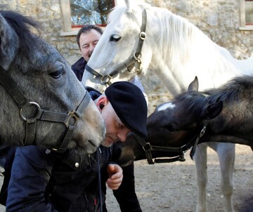 TONSPUR 67: Maurice de Martin (GER): Morgenarbeit – Eine Hippodromophonie