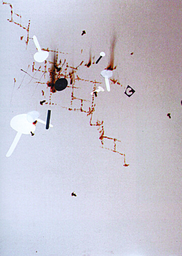 (c) Jan Steklik - Mushrooms for John Cage Side Events MEMBRA DISJECTA FOR JOHN CAGE: Wanting to Say Something About John
