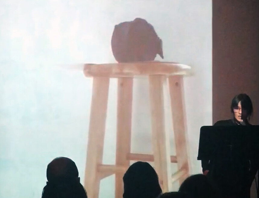 116 Actions in 24 Hours with a Cabbage in Johnson, Vermont.