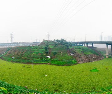 Heterotopia - Chongqing's utopic gardens