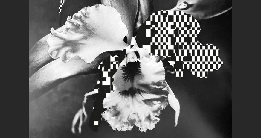 Say Say Say, Inc. / Jutta Wacht & René Poell: AI, Hot Mess