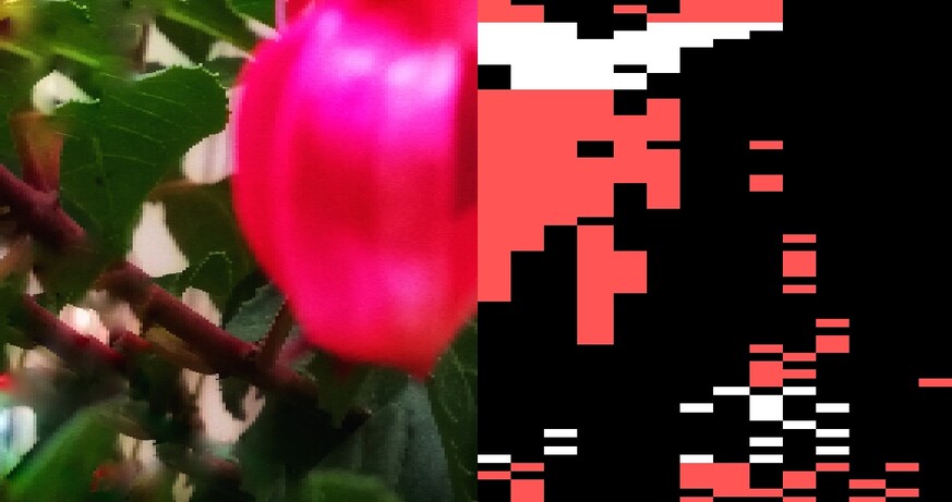 STATION ROSE: Digital Land Art 07_19