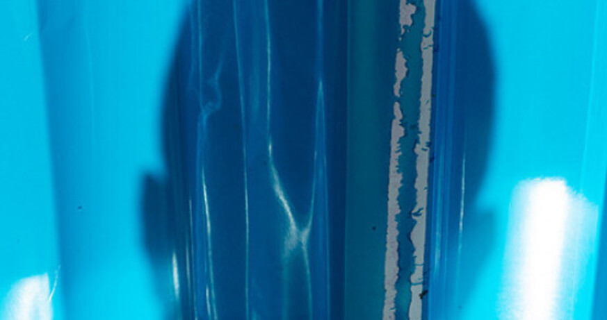 Holiday tour: Wolfgang Tillmans. Sound is liquid