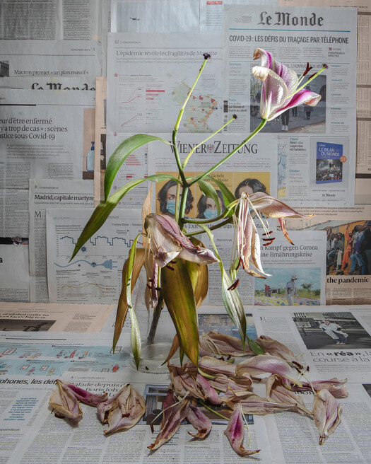 Lilies. 75,120 / 1,396,114. April 7th.