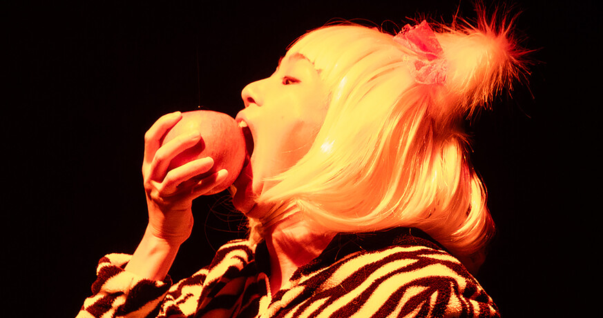 © Photo by bozzo courtesy of Kinosaki International Arts Center Toyooka City Kitty