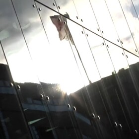 Aleksander Komarov, Flag