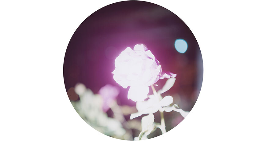 Illuminance, Wien 2011 RINKO KAWAUCHI: ILLUMINANCE