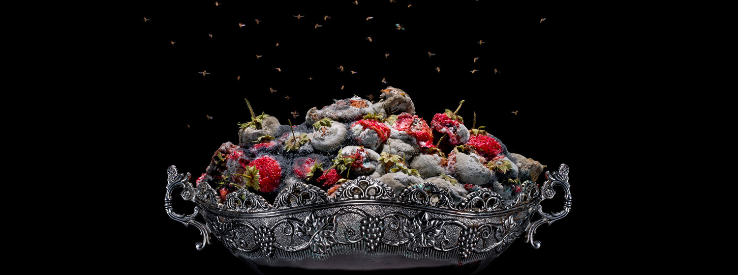 One Third: Strawberries (c) Klaus Pichler Klaus Pichler: One Third