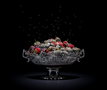 One Third: Strawberries (c) Klaus Pichler Klaus Pichler: One Third