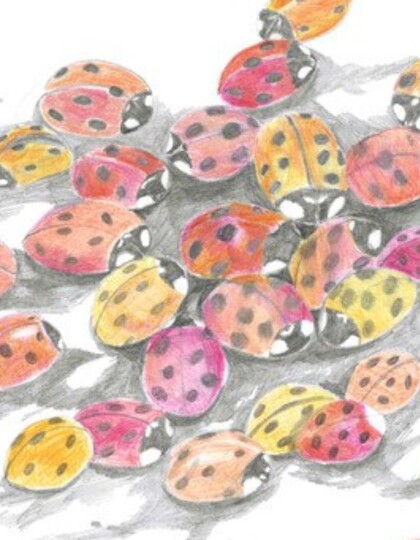 Remember Me by Touch