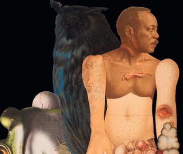 Ines Doujak, Skins 3 © Courtesy by the artist THE CONUNDRUM OF IMAGINATION
