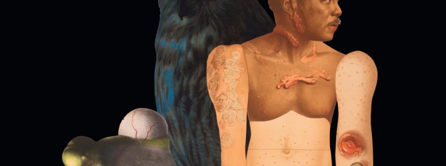 Ines Doujak, Skins 3 © Courtesy by the artist THE CONUNDRUM OF IMAGINATION