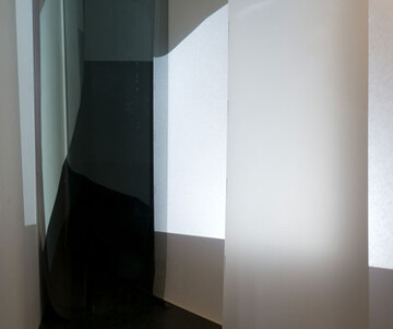 Kainz Faksimile Digital Elisabeth Wildling: Spatial Introversion