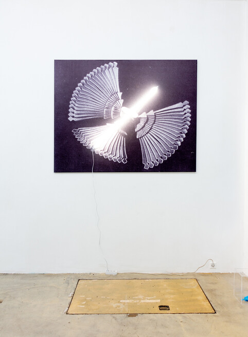 Fire bird. Banner printing, lamp. 190x160cm.2021
