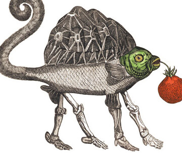(c) Jan Svankmajer Rahmenprogramm zu Das Kabinett des Jan Švankmajer