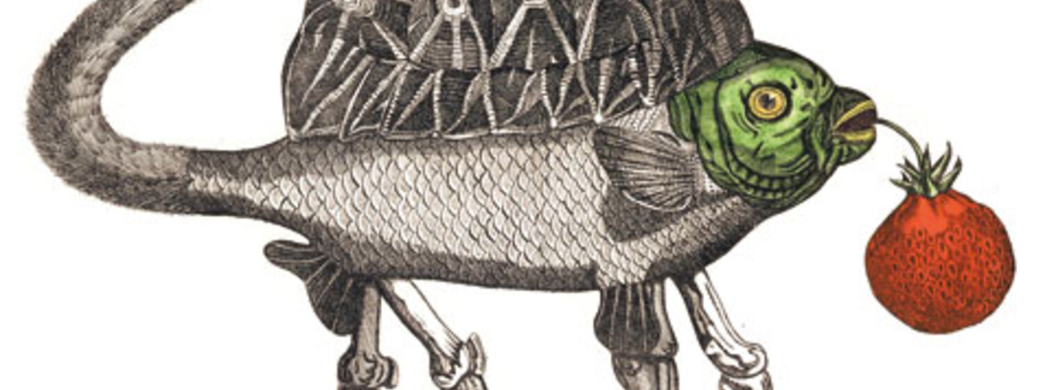 (c) Jan Svankmajer Rahmenprogramm zu Das Kabinett des Jan Švankmajer