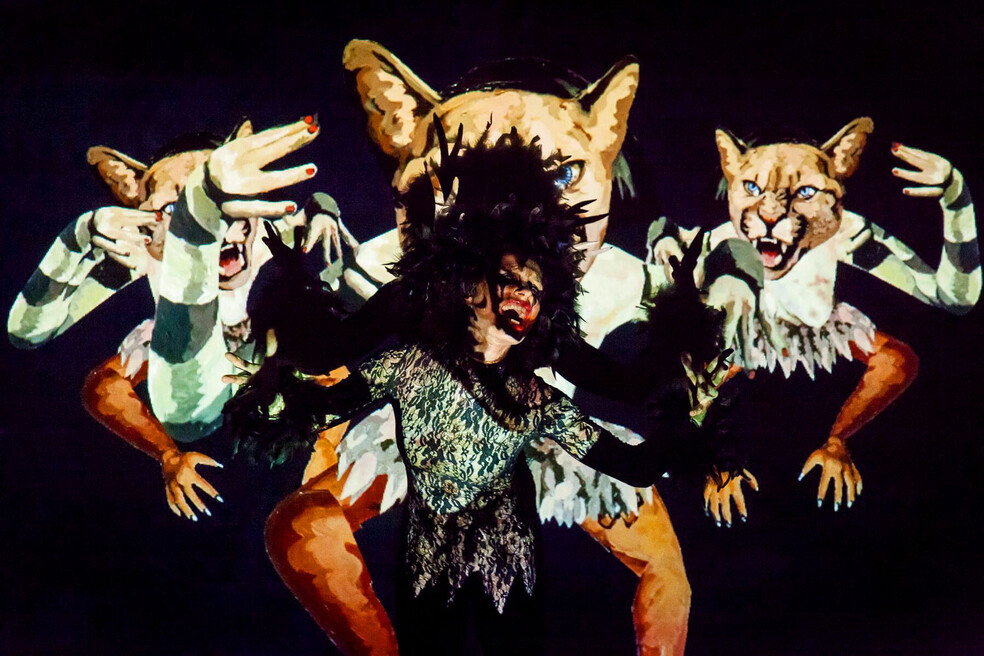 Misread Signs, Performance, 2019