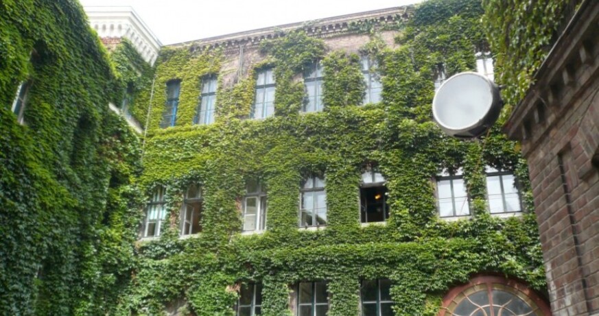 Workshop „Archikids": Green instead of Grey