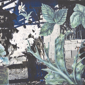 Nikita Kadan, Protections of Plants, 2014 Nikita Kadan, Protections of Plants, 2014