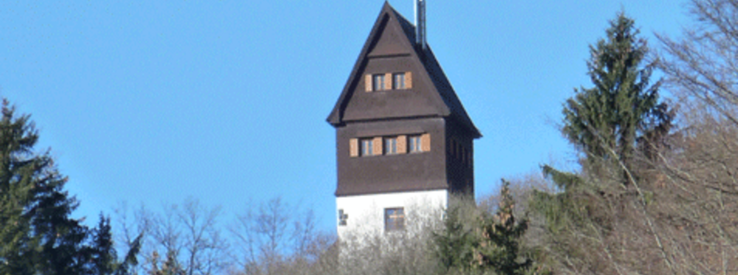 Das beste Haus 2011. Architekturpreis