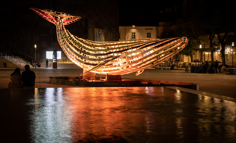 Echoes - a voice from uncharted waters