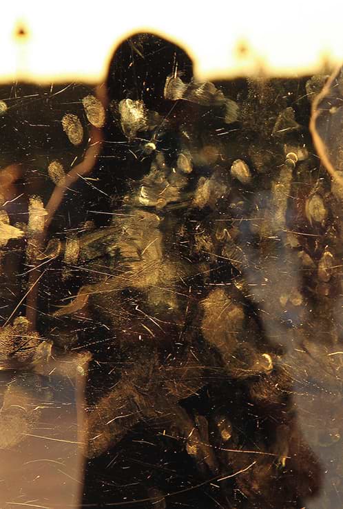 Golden Fingers of Louvre, 2017