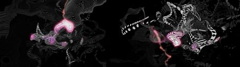 Black-and-white line drawings with organically curved abstract shapes and some pink accents on a black background.