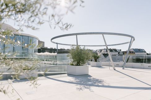 Sunny rooftop terrace of a modern building with a curved glass façade, spacious planters, and a striking sculptural circular light feature supported by angled columns. Olive branches frame the architecture in the foreground.