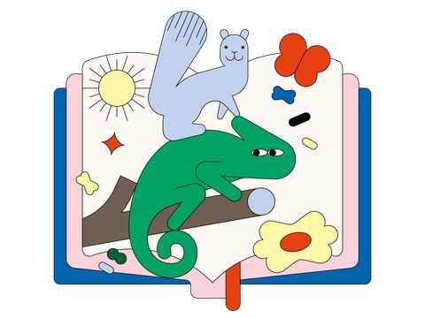 Colorful illustration of an open book with a green chameleon on a branch, a gray squirrel, a sun, a red butterfly, and various colorful shapes.