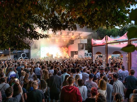 Large crowd in front of a stage at an outdoor concert under trees in the evening.