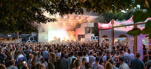 Large crowd in front of a stage at an outdoor concert under trees in the evening.