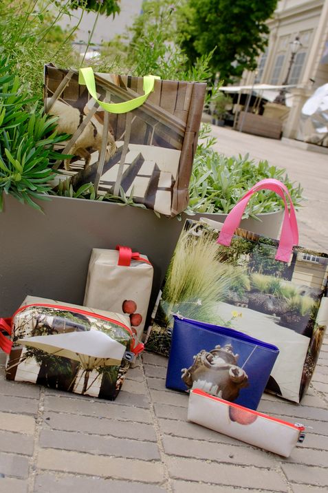 Mehrere Taschen und Beutel mit Fotodrucken, darunter eine transparente Tasche mit grünen Griffen, eine blaue Tasche mit pinken Griffen und verschiedene kleinere Beutel, arrangiert auf einem gepflasterten Boden vor einem Pflanzgefäß mit grünen Pflanzen.