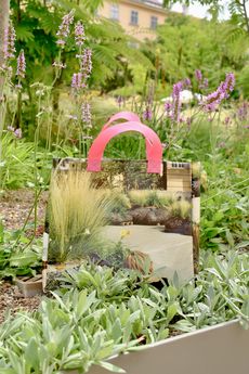 Eine Tasche mit pinken Griffen steht in einem Beet mit verschiedenen Pflanzen und lila Blüten im Hintergrund
