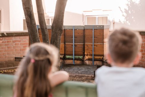 Zwei Kinder beobachten aufmerksam die Bienenstöcke im MuseumsQuartier als Station des MQ-Rätselparcours.
