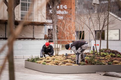 Zwei Gärtner pflegen ein rundes Beet mit Gras und Stauden in einer städtischen Umgebung.
