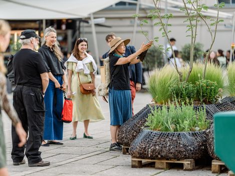 Mehrere Personen stehen im Freien vor bepflanzten, mit Draht ummantelten Erdhügeln und betrachten diese
