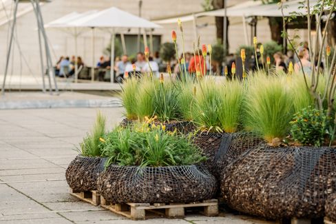Modular plant balls called MQ TreePods on pallets in the courtyard