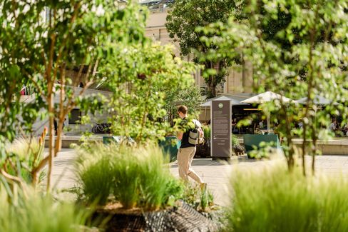 Blick durch grüne Pflanzen auf eine Person mit Rucksack, die auf einem Platz mit Sonnenschirmen und einem Informationsstand geht